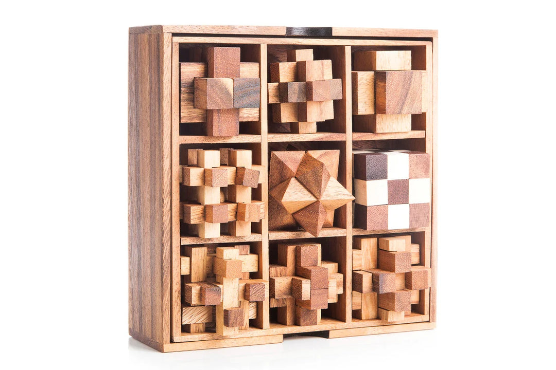 Very Difficult Puzzles For Adults, Gift Box Puzzles - 9 Mechanical Puzzle Set