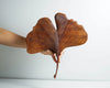 Wooden Ginkgo Leaf Wall Figurine