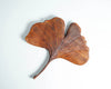 Wooden Ginkgo Leaf Wall Figurine